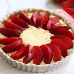Plum Frangipane Tart