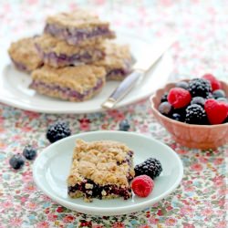 oatmeal crumble bars