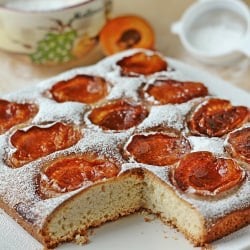 Apricot Cocoa Cake