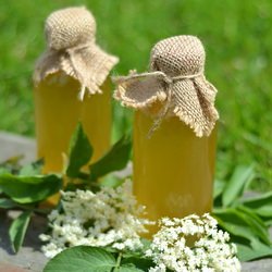 Elderflower Syrup