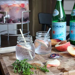 Infused Sparkling Water