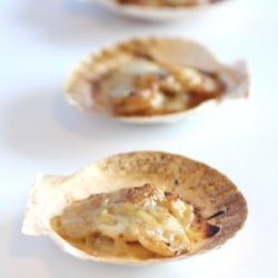 Julia Child’s Scallops