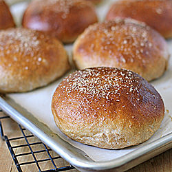 Whole Wheat Hamburger Buns