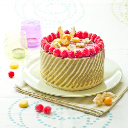 Raspberry & Lime striped Ice Cake