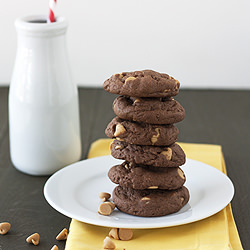 Peanut Butter Chip Cookies