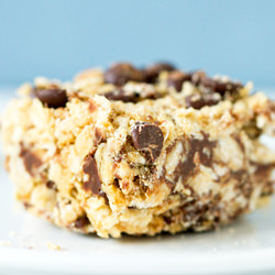 Chocolate Chip Bars