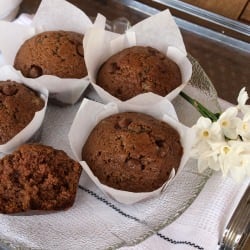 Chocolate Chip Muffins