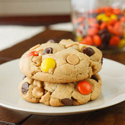 Reeses Pieces Peanut Butter Cookies