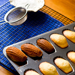 Madeleines