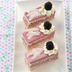 Blackberry Coconut Cakes