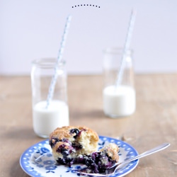 Blueberry Muffins