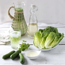 Persian Mint & Cucumber Cooler