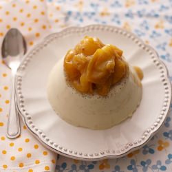 Vanilla & Plums Panna Cotta