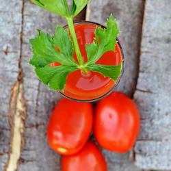 Homemade Tomato Juice / Sauce