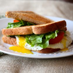 BLT Sandwiches with Egg
