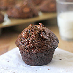 Chocolate Zucchini Muffins