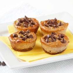 Mini Choc Cheesecakes