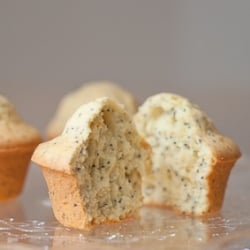 Citrus Poppy Seed Muffins