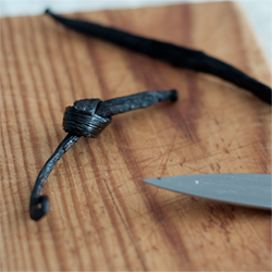 Vanilla Beans 101