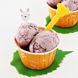 Sweet Potato Ice Cream