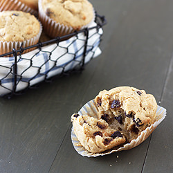 Peanut Butter Chocolate Chip Muffin