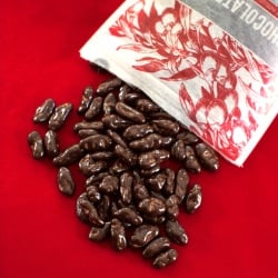 Chocolate-Covered Goji Berries