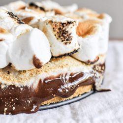 Gooey S’mores Ice Cream Cake
