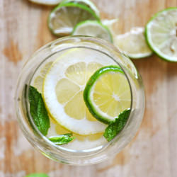 Citrus and Mint White Wine Sangria
