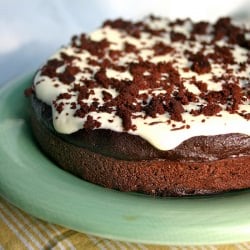 Sugar Free Devil’s Food Cake