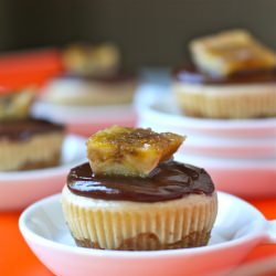 Chocolate Peanut Butter Cheesecakes