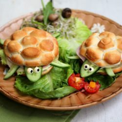 Turtle Sandwich