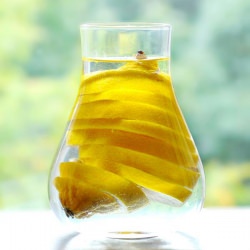 Water with Lemon