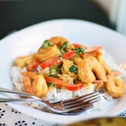 Shrimp Curry