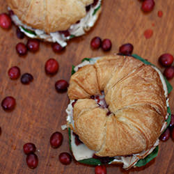 Cranberry Turkey Sandwich