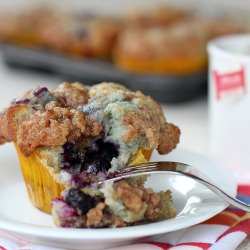 Blueberry Muffin