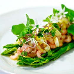 Baltic Prawns & Asparagus