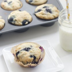 Blueberry Muffins