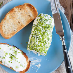 Making your own goat cheese