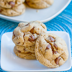 Chocolate Chip Peanut Butter Cookie