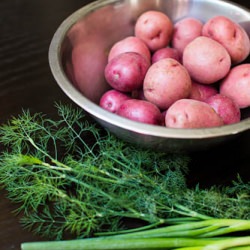 Potato Salad