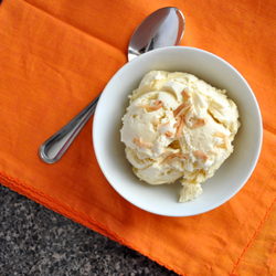 Toasted Coconut Ice Cream