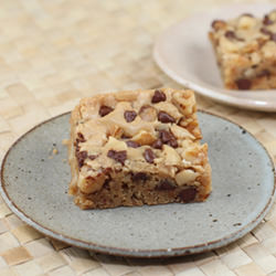 Alice Medrich’s Blondies