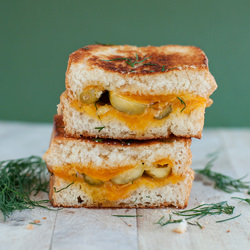 Dill Pickle Grilled Cheese