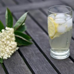Elderflower Juice
