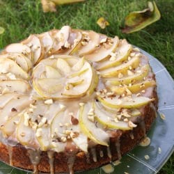 Double-Pear Cheesecake