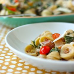 Orecchiette Pasta
