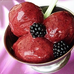 Raw Blackberry Banana Ice Cream
