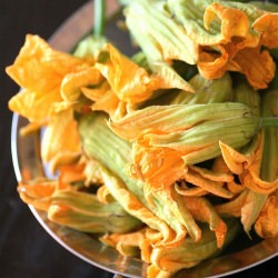 Zucchini Blossoms