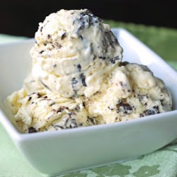 Coconut and Chocolate Chip Ice Cream