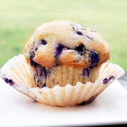 Vegan Vanilla Blueberry Muffin